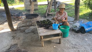 Native Filipina Lola Cooks & Makes Bibingka In An Outdoor Cooking Oven In Argao, Cebu, Philippines