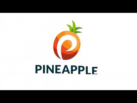 Pineapple Payments Accounting Solutions