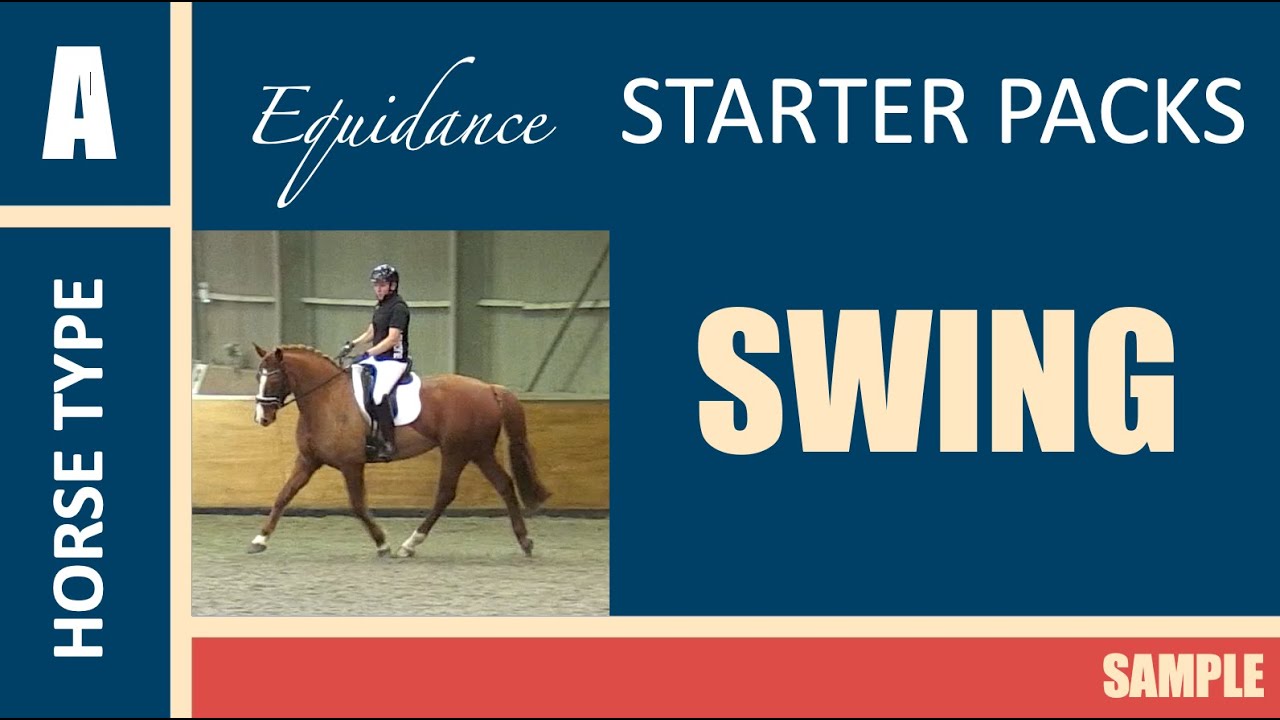 Freestyle Starter Pack Horse Type A, Swing SAMPLE YouTube