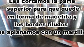 Enraizar esqueje de limon en una maceta de reciclaje