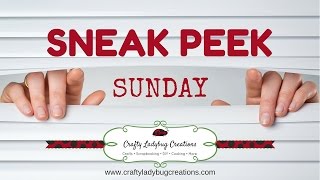 Sneak Peek Sunday 7.10.2016 VLOG by Crafty Ladybug