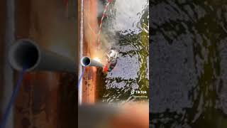 ​@bmcdivinginc.rangeleymaine3256 is in too deep