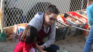 Child Development Careers