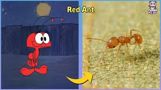 Pink Panther And Pals Characters In Real Life 2022