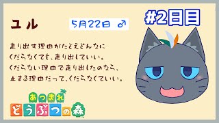 【あつまれ どうぶつの森】妖精無人島魔法2日目【ユル・バウム】