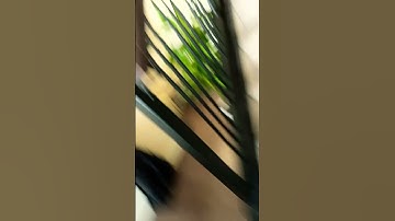 Day 6 of making ugly transitions #bloxfruits #roblox #katana #northernlights