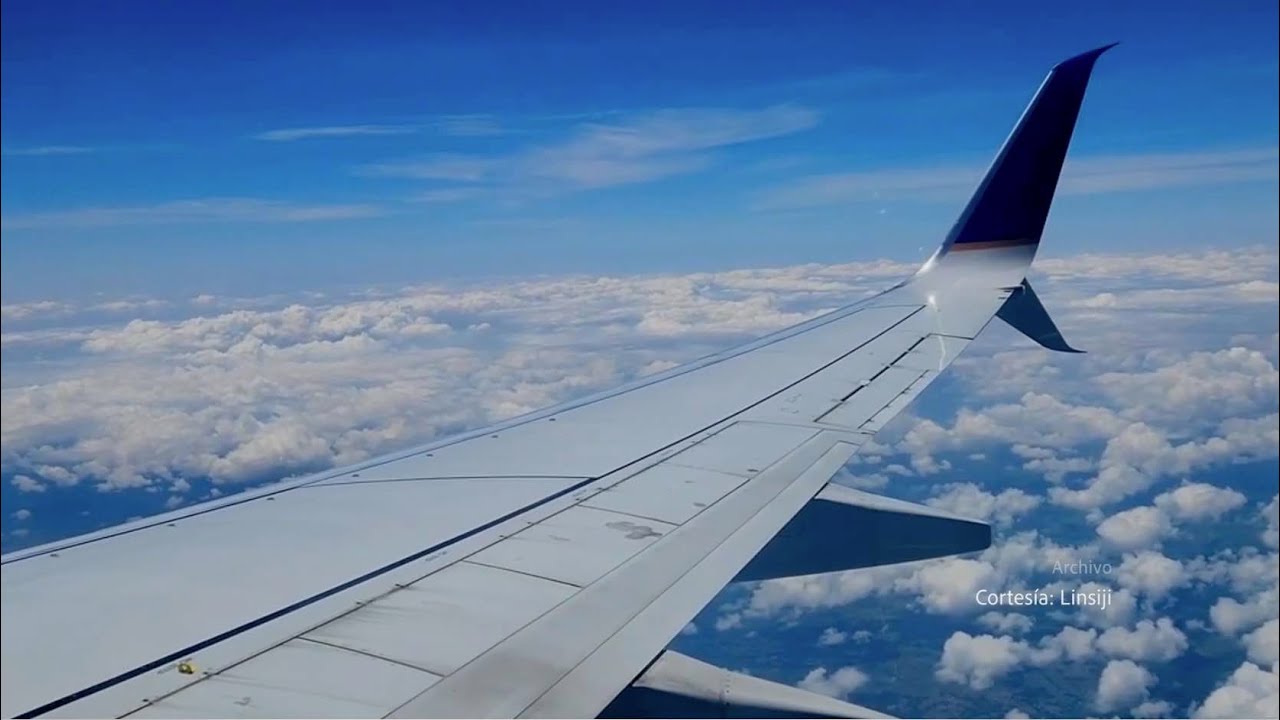 Conozca los servicios de viajes y turismo de los afiliados a AVAVIT