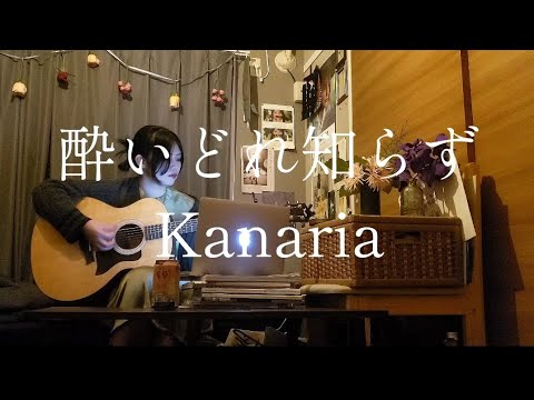 【きばやしcover】酔いどれ知らず/Kanaria