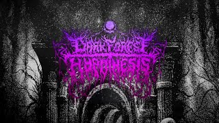 Dark Forest Hypothesis - Snagwalker