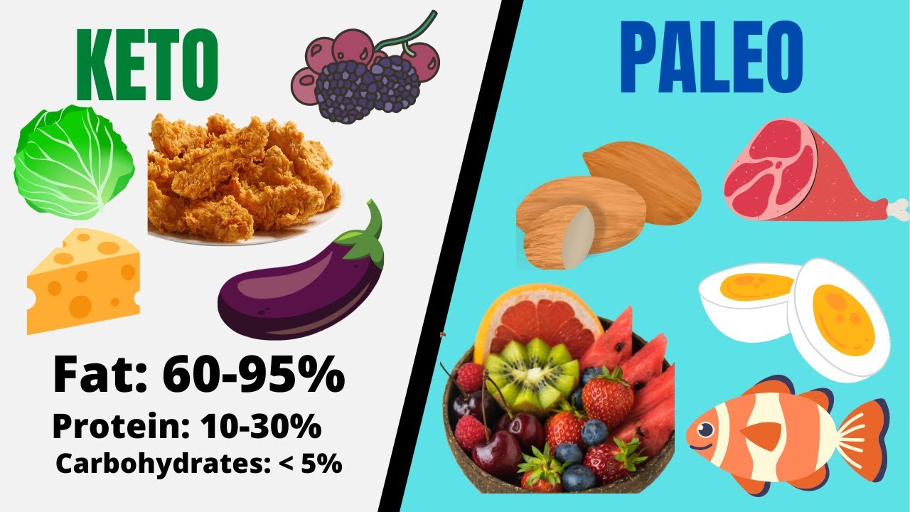 Difference Between Keto and Paleo Diet 40 Day Shape Up