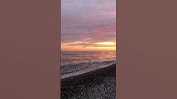 سورة المسد بصوت ناصر القطامي