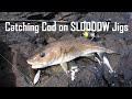 Lure Fishing | Catching Cod with Slow Jigs