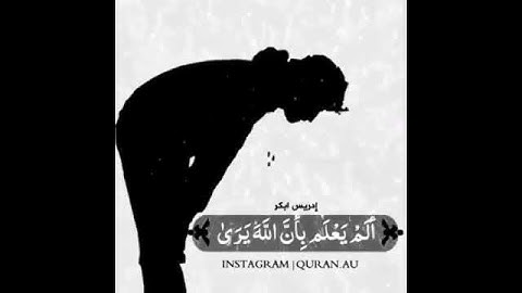 قرآن كريم بصوت القارئ: ادريس ابكر|| أجمل حالات واتس اب دينيه || مقاطع انستقرام 🍃