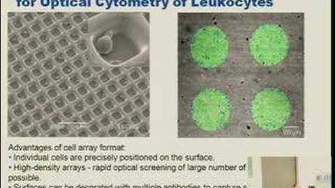 Novel Microarray-based Platform for Blood Analysis