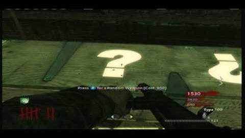 Cod 5 Multiple Weapon glitch