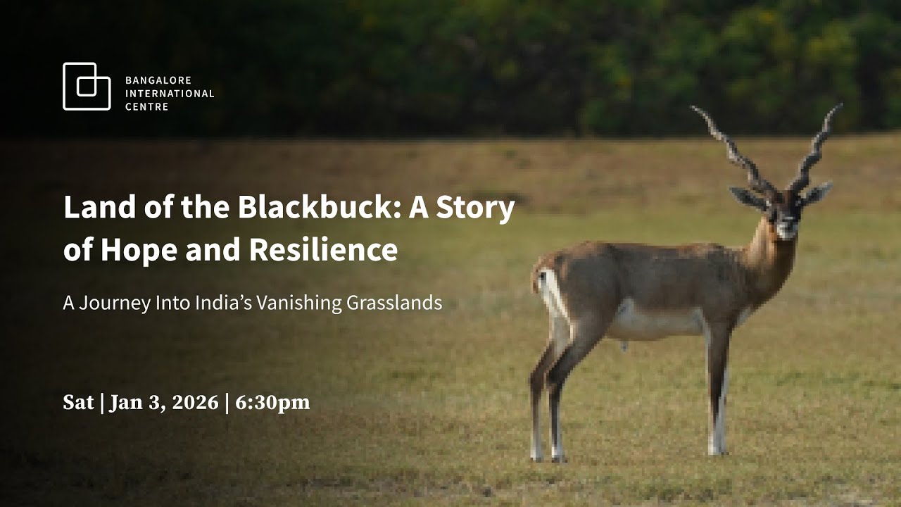 Land of the Blackbuck A Story of Hope and Resilience