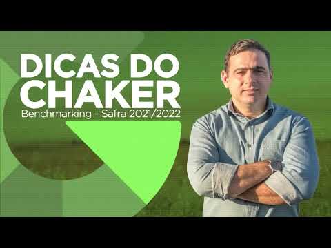 INVERNISTA DE BOI: ESTE 4 INDICADORES VÃO FAZER FAZER A SUA FAZENDA GANHAR MUITO DINHEIRO