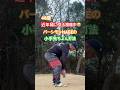 48歳 絶賛腰痛中😭パーシモンHAGEの小手先ちょん打法 #ゴルフ #golf #パーシモンhage