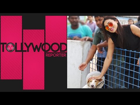 Women's Day Special | Celebrating Women Stars | Mimi Celebrating Her Birthday | Tollywood Reporter