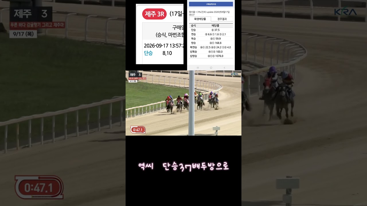 37배단승적중두방01055876275