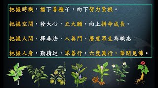 惟智薰法香心得20211011 靜思法髓妙蓮華877集