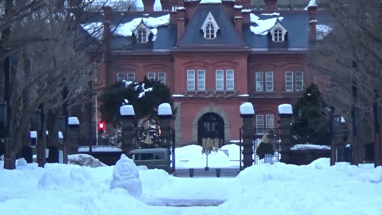 Sapporo Walk（札幌で散歩）20260215