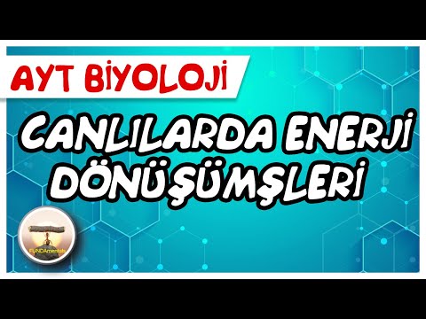 Video: Dönüşümleri hangi sırayla uygularsınız?