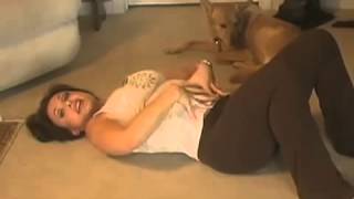 Dog Functional, Hardcore ABS! Забавная собака и ее очаровательная хозяйка Dog Functional, Hardcore ABS! Забавная собака и ее очаровательная хозяйка