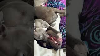 Jezebel And Blue Were Nonstop