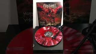 Cavalera - Burn The Dead (Bonus Track) (2023 Limited Splatter Vinyl) #audio #music #vinyl