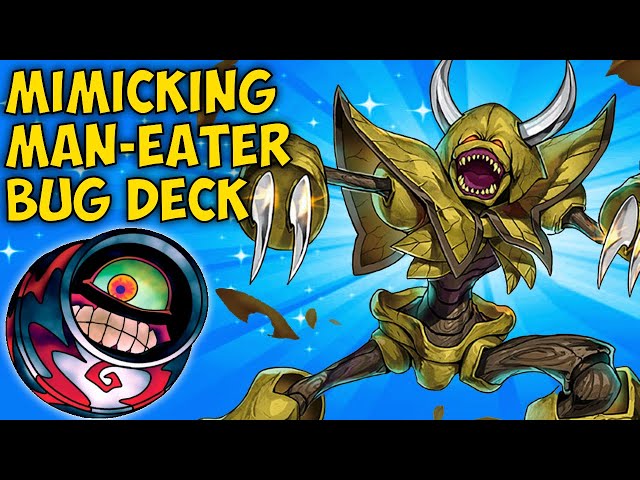 yugioh man eater bug deck YGOrganization 600 FLIP Yu-Gi-Oh Card of the Day,