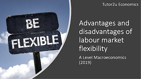 A* Evaluation: Flexible Labour Markets - DayDayNews