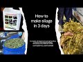 How To Make Silage Ready In 3days With MolaPlusLivestockMicrobes Shambasolutions 256758712786 How To Make Silage Ready In 3days With MolaPlusLivestockMicrobes Shambasolutions 256758712786