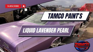 Tamco Paint's Custom Color - Liquid Lavender Pearl