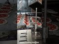 Pizza Topping Applicator,Pizza Topping Line,Sauces Depositor#pizzabaserecipe#pizzacrust #frozenpizza