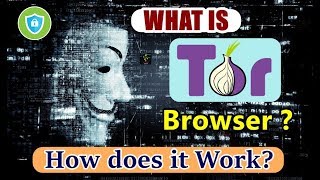 [HINDI] What is TOR Browser? | The Onion Router | Concept and Working Explained