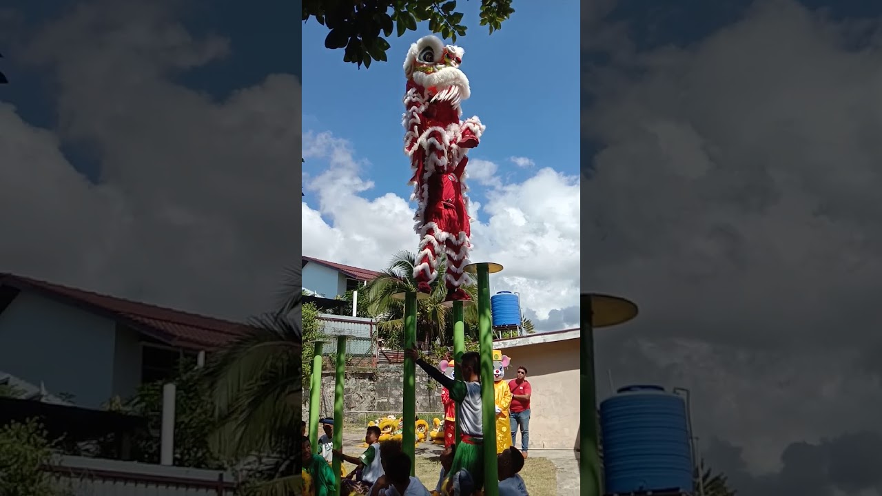 NOSOOB BARU LION DANCE
