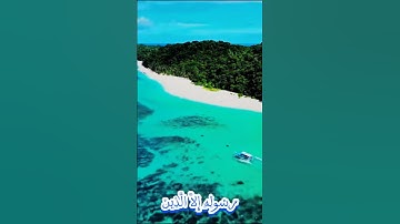 سورة التوبة وكانك تسمعها لأول مر.ة 🌻💟.؛؛🏵️💞؛..💙💮💐؛🌺بصوت الشيخ حمزة مد بوح 💓؛؛💟،.💚؛💖؛،💞🏵️،؛؛💝