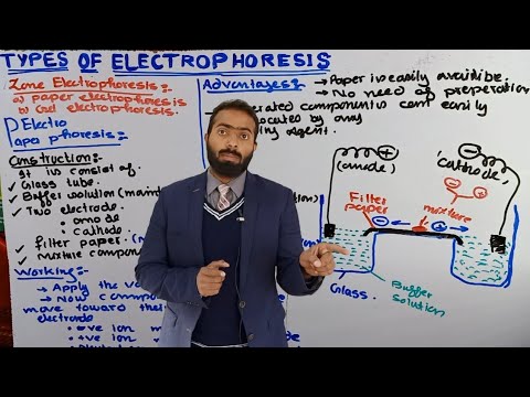 Paper Electrophoresis | Types of Zone Electrophoresis | types of Electrophoresis | Electrophoresis