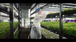 Cargill Innovation: Reimagining what’s possible