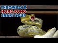 2007 Throwback Snake Soup In Hong Kong - Glen And Friends Cooking