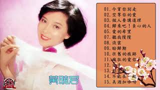 Huang Xiao Jun黄晓君的专辑 黄晓君 最畅销歌曲第一集【經典老歌國語】今宵你別走+空等你的愛+做人要講道理+歸來吧！負心的人最佳歌曲Huang Xiao Jun