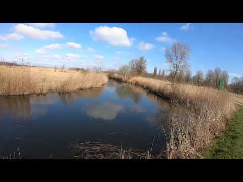 Wandeling Foppenpolder en de Vlietlanden tussen Maasland en Vlaardingen