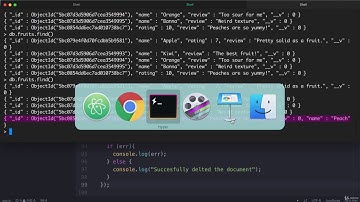 261 Updating and Deleting Data Using Mongoose