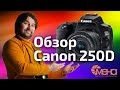 Обзор Canon 250D (камера для начинающего видеографа) отзывы на Pleer.ru