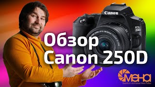 Обзор Canon 250D (камера для начинающего видеографа) отзывы на Pleer.ru