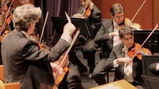 Serving on the WVSO Board