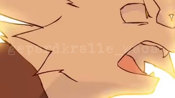 Swiftpaw & Cinderpelt! (all the Animations in the past Videos and here are not mine!)