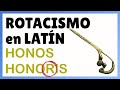 ROTACISMO en LATÍN: historia ‹ Principales cambios desde el protoindoeuropeo hasta el latín