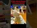 Cats vs Dogs… Who Won? 😂#funny